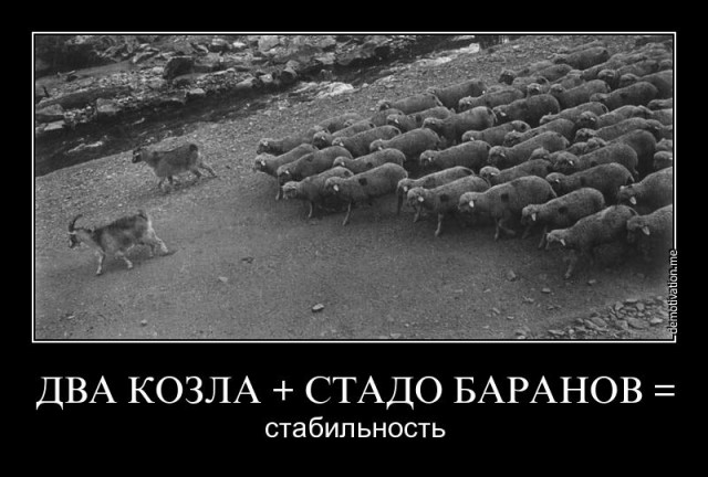 Самый умный: ворюга или "герой против системы"?