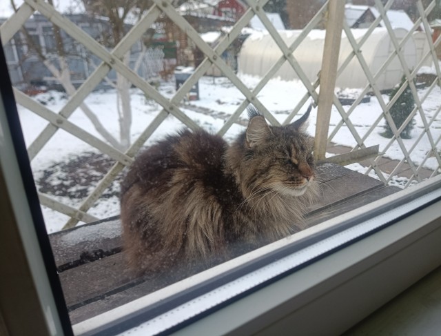 А у нас зима