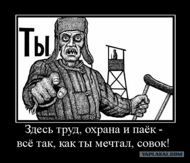 Пролетария ответ