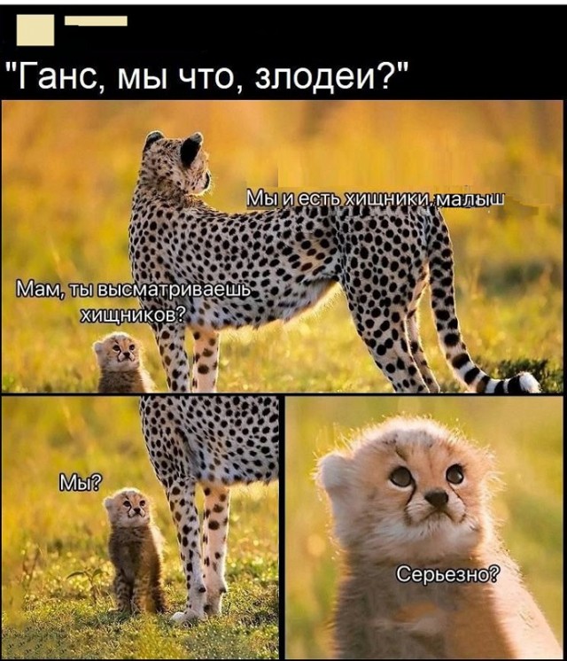 Картинки разные с надписями и без
