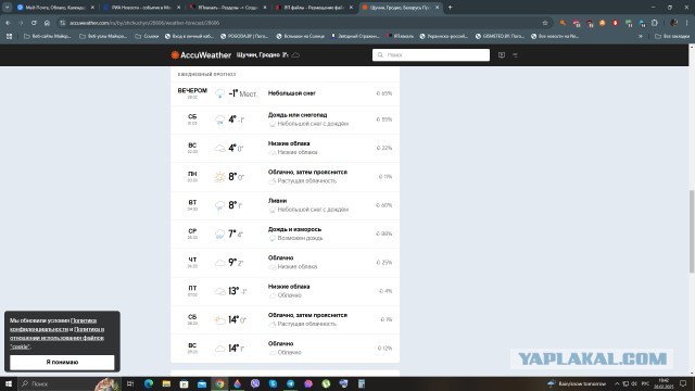 Жизнь домашнего приюта для котеек 533