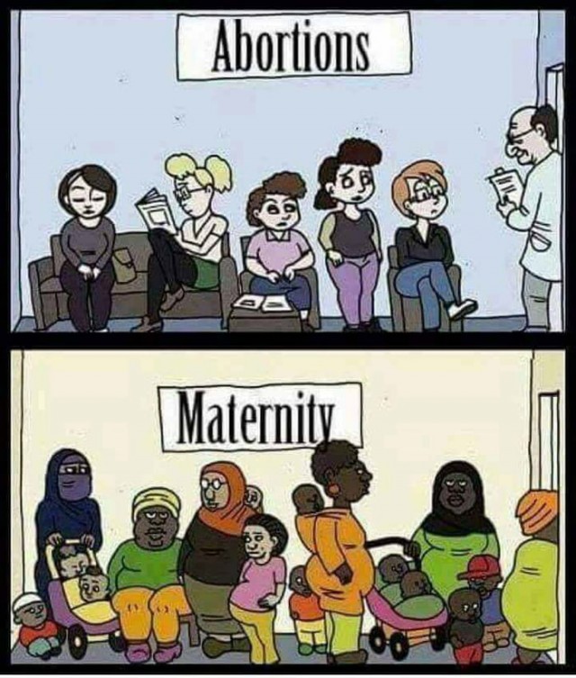 "На 150 тысяч детей завести нельзя": дамочка из параллельной России