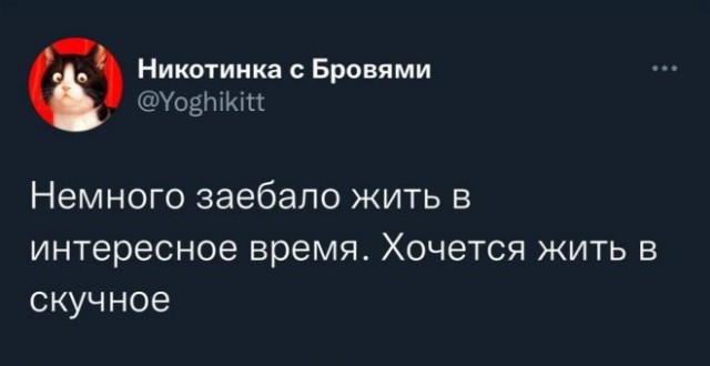 Веселые картинки в понедельник (06.10)