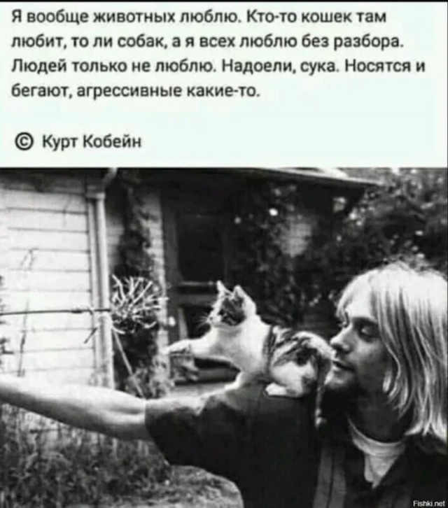 Я не люблю кошек.