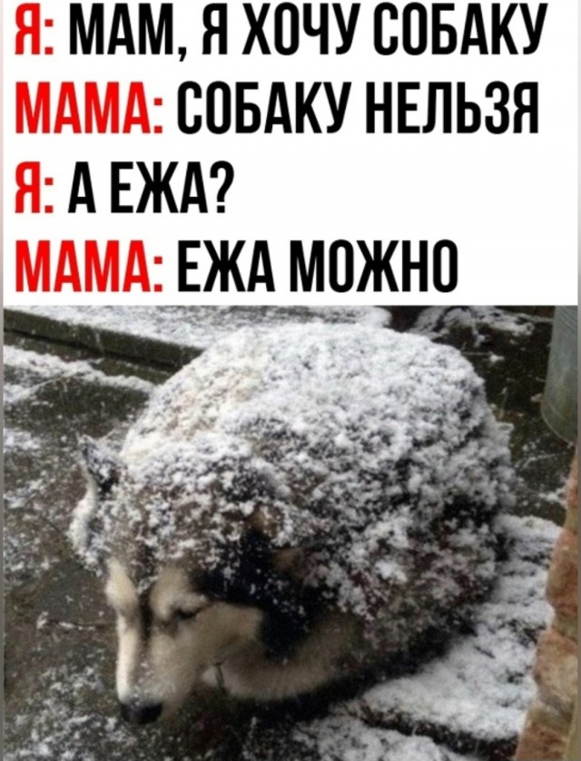 Последняя маленькая пятница октября.