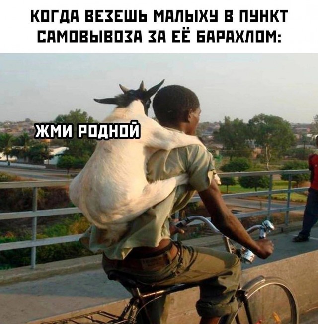 Картинки для деградации 82 (разной степени свежести)