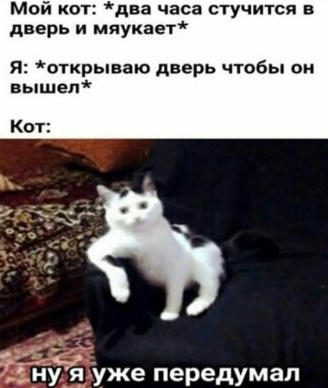 Юрий Дмитриевич Куклачёв объявил, что покидает сцену