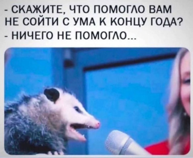 Так себе картинки 29.12.25