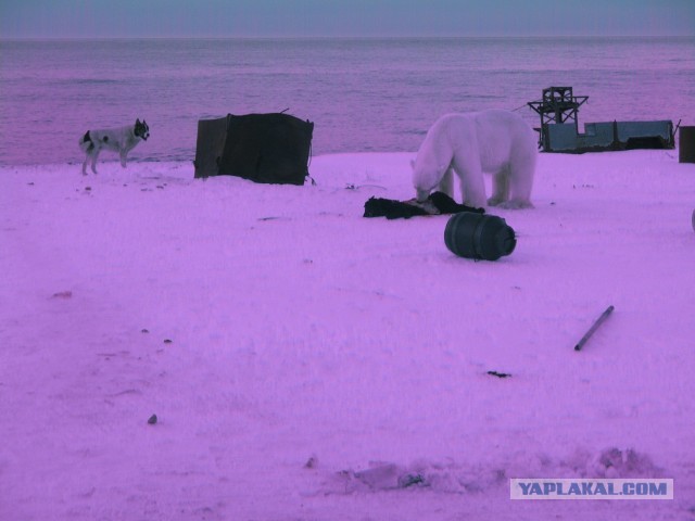 Cтанция Валькаркай