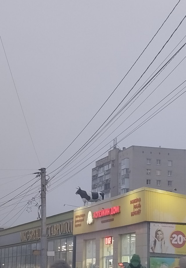 Литературное заведение "Буквица"