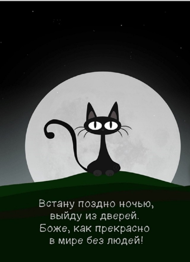 Так себе картинки 22.03.26