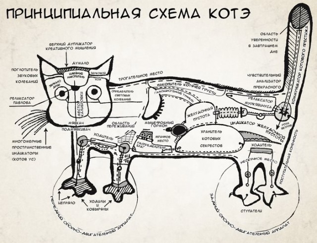 Котямбосы