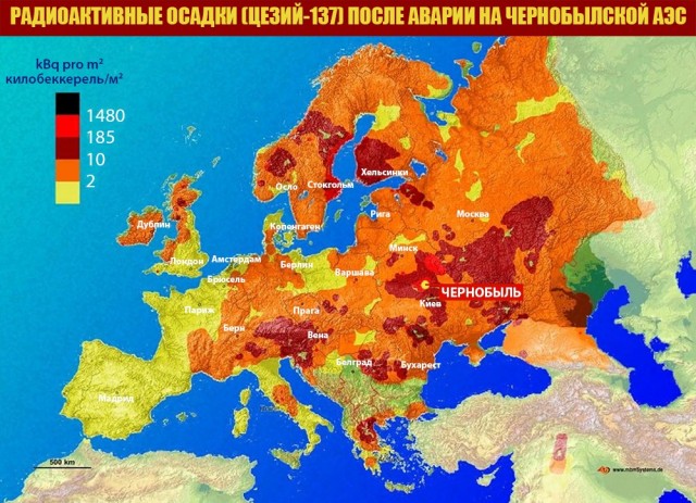 Радиоактивные изотопы Чернобыльской катастрофы обнаружили на грибах в Финляндии