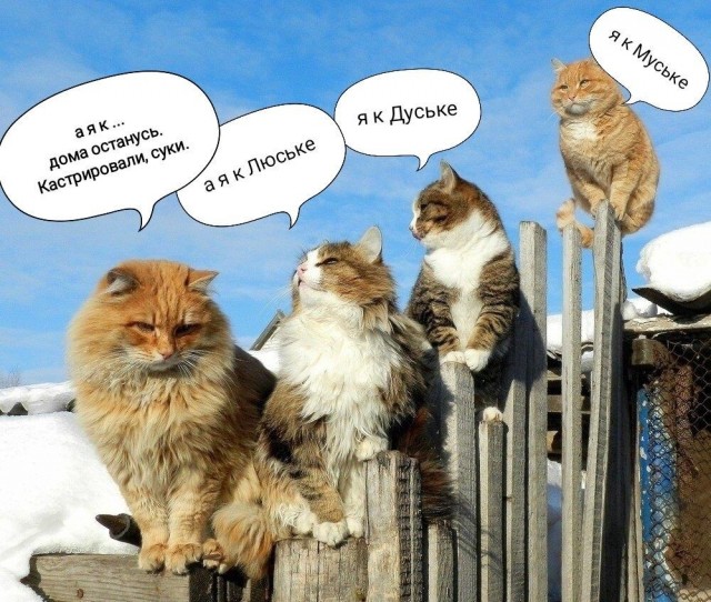 Весна ПРИШЛА!