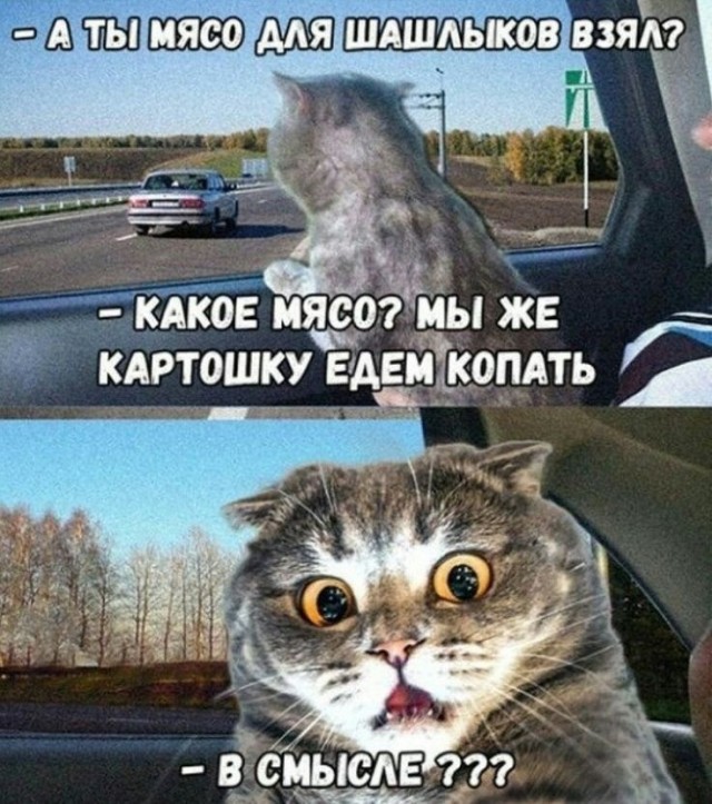 Среды картинки