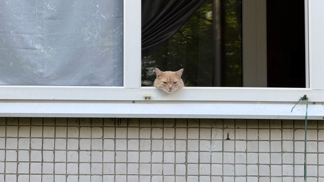 Просто немного фотографий, часть 2