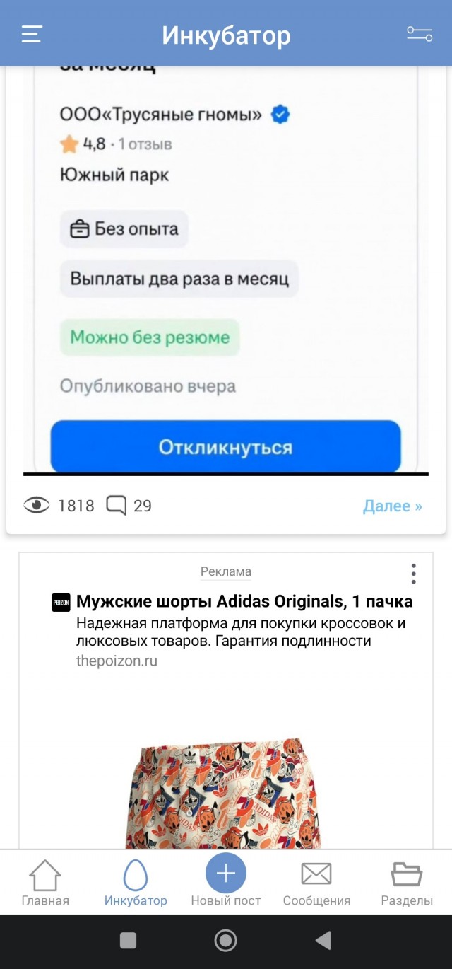 Патамушта, почему ты  не можешь найти себе работу?