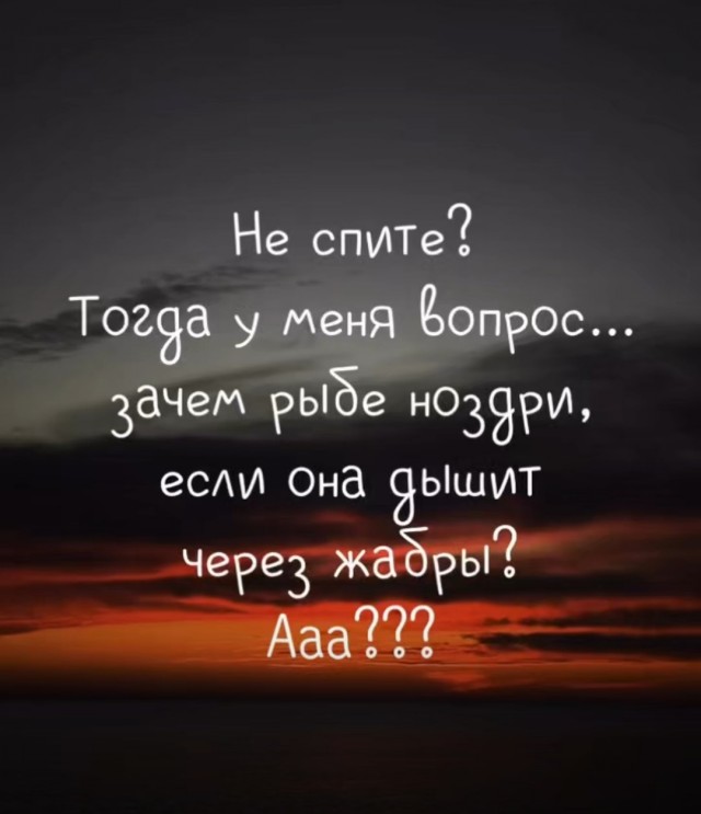 Есть рыбаки?