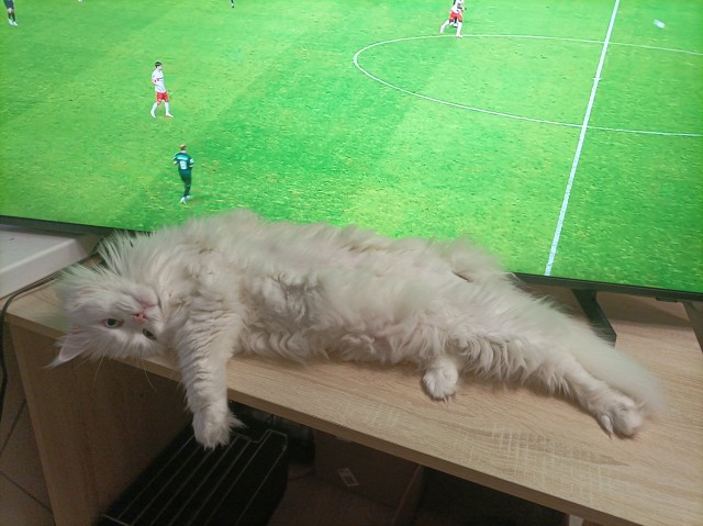 ДНК-тест