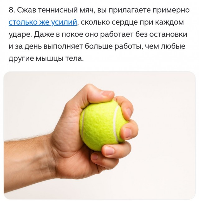 Познавательные картинки 4