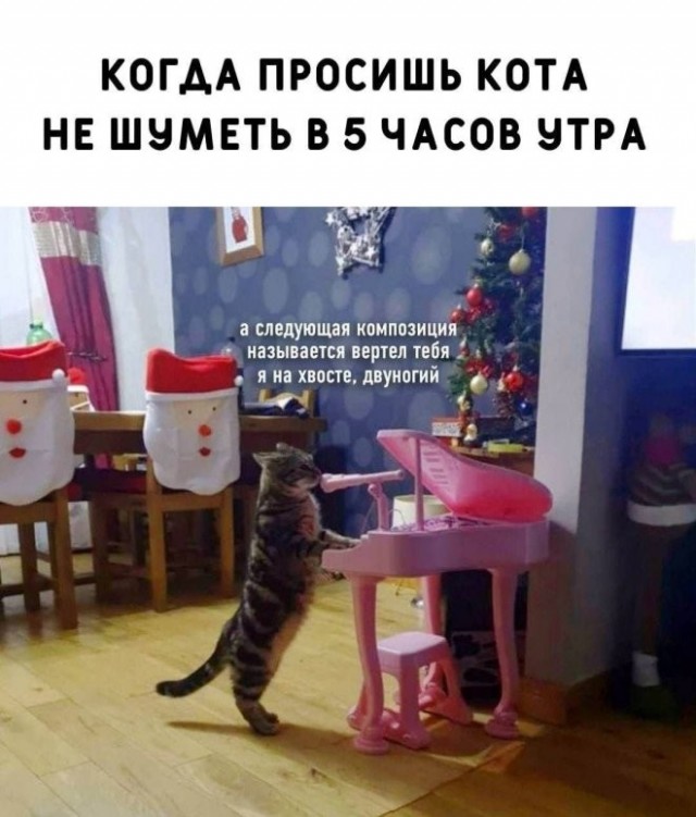 Картинки для деградации 267 (разной степени свежести)
