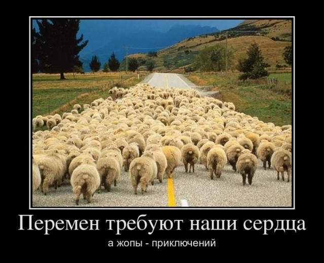 ОМОН, нарушения и ВЫБОРЫ 8 сентября