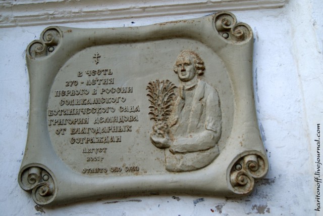 Соль