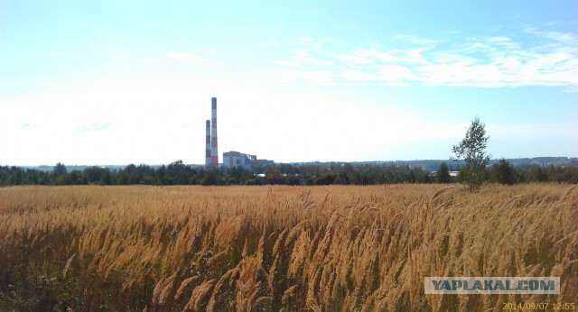 Последнее фото с Вашего телефона.