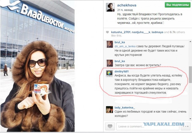 Кот пообедал в аэропорту на 60 тыс. рублей.