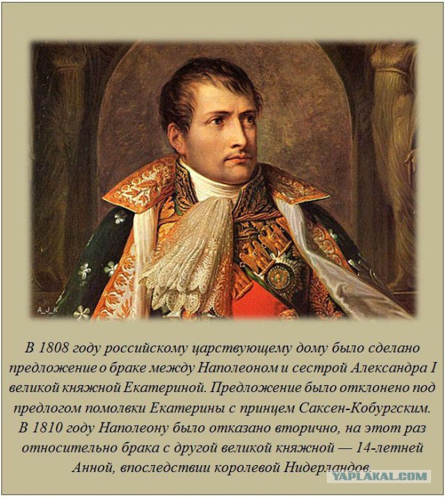 20 фактов обо всем
