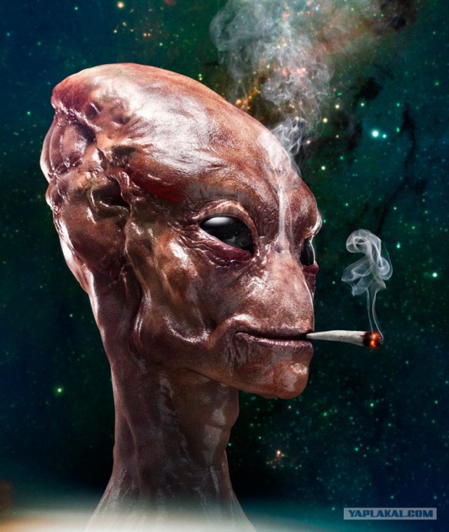 И не придерёшься...