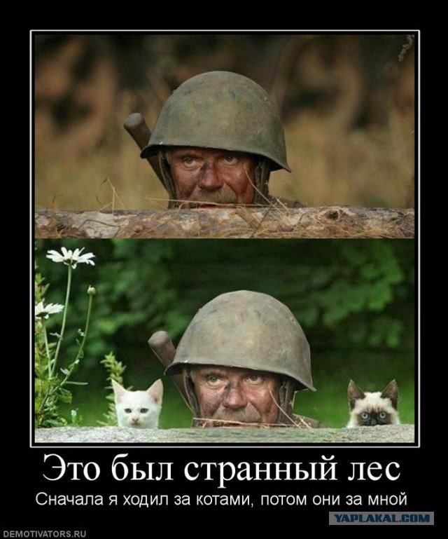 Император Мигалков