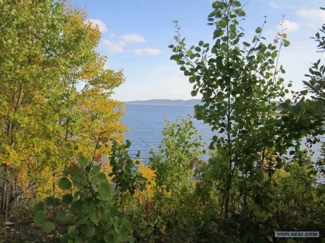 Золотая осень