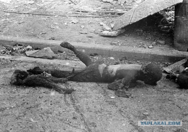 70 лет атомным разрушениям Хиросимы и Нагасаки