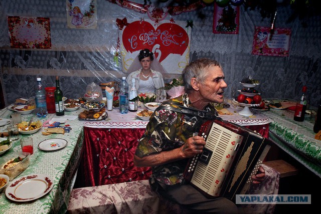 Свадебный треш