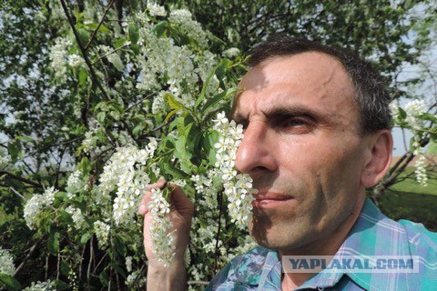 Если бы у твоего бати был инстаграм