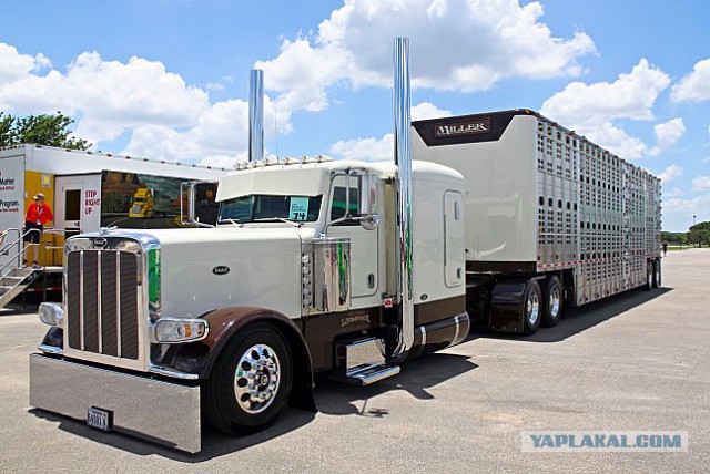 Шоу тюнингованных грузовиков Shell SuperRigs