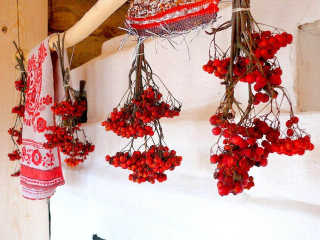 Подборка картинок 20.02.16