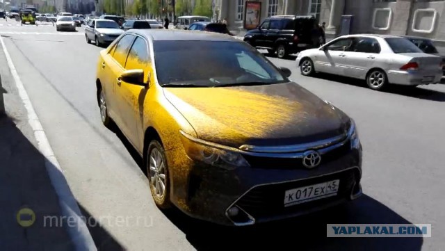 "Качественная" покраска Камри от курганских дорожников