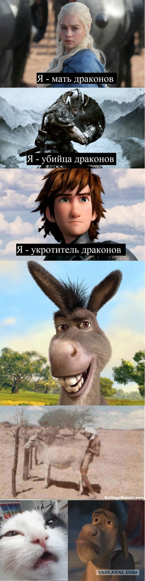 Разновидности отношений к драконам