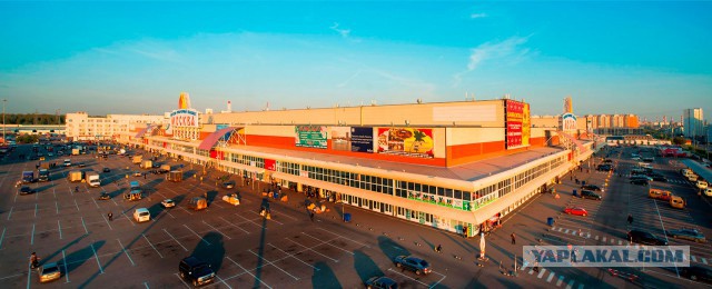 Москвичи требуют закрыть рынки «Москва» и «Садовод»