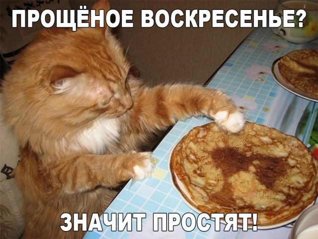Подборка безудержного веселья
