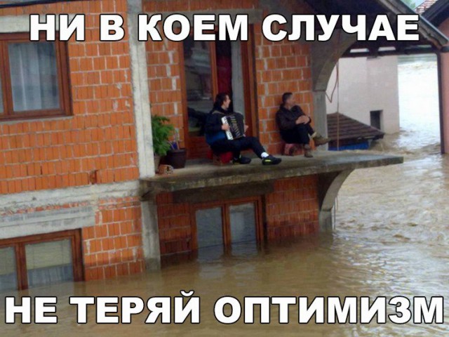 Подборка безудержного веселья