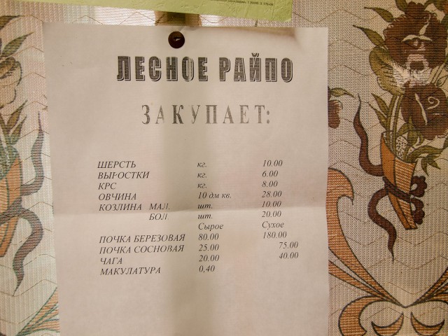 Несколько летних дней на Мологе. Фотоподборка.