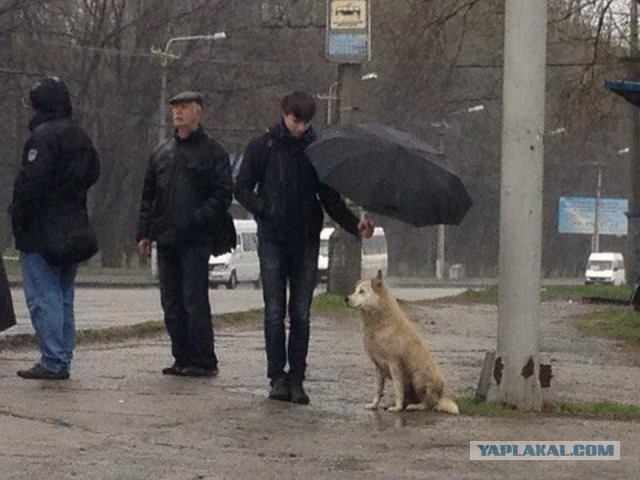 "Берегите в себе человека"