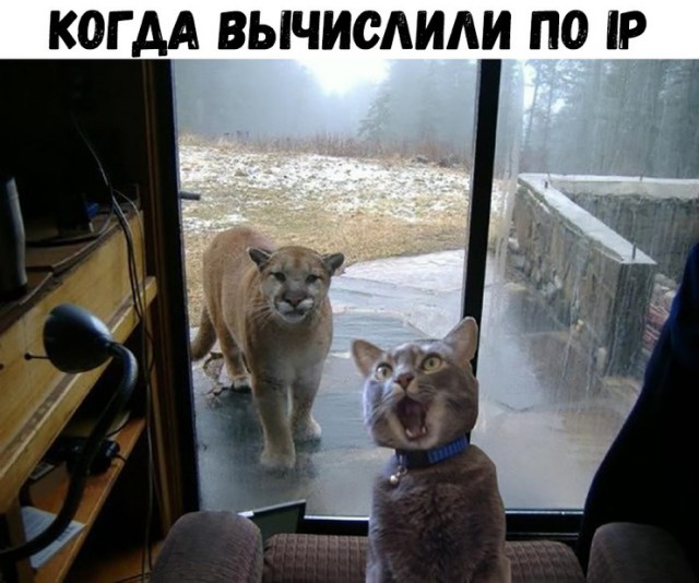 Всяко разное
