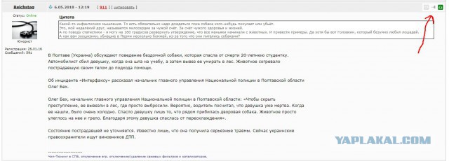Стрелой в собаку