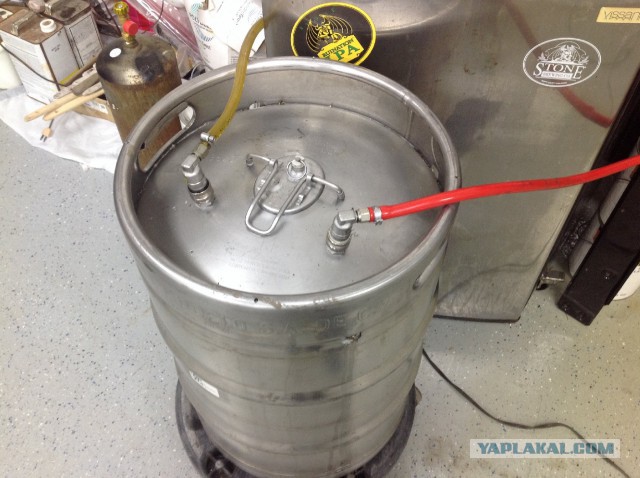 53 факта о пиве, домашнем пивоварении и фестивалях от настоящего профессионала