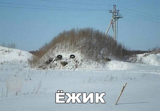 Калейдоскоп картинок