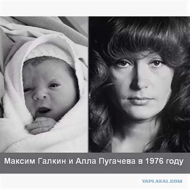 Советские знаменитости на фото. 1977 год